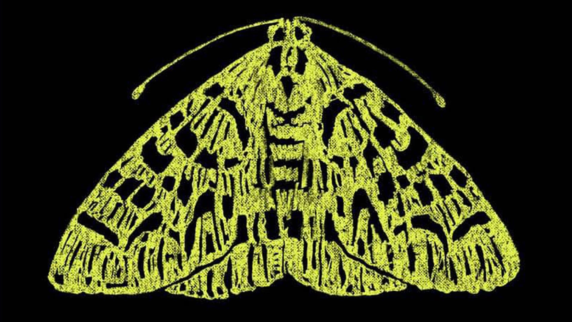 The Moth StorySLAM – SUS