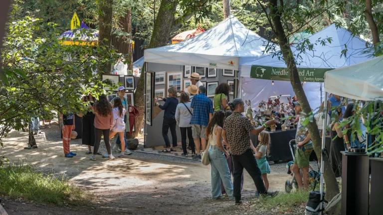 Mill Valley Fall Arts Festival September 19-20, 2026 Hours: 10- 5