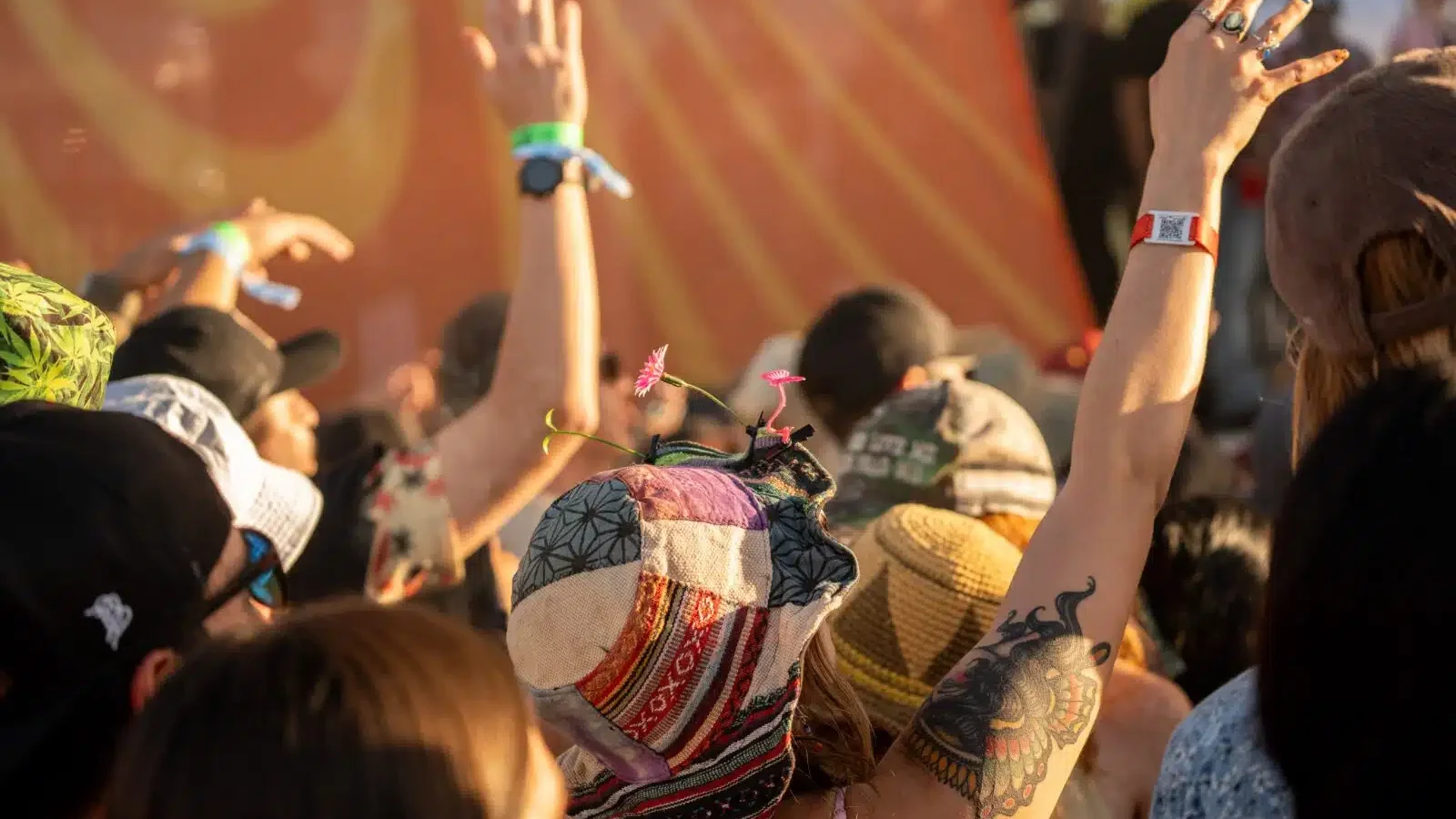 Reggae Rise Up Arizona 2027